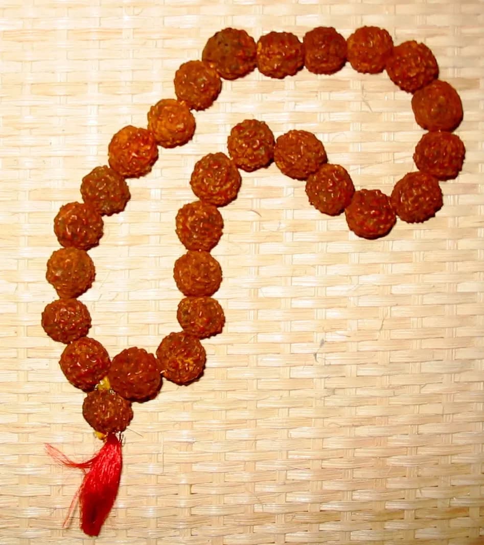 Rudraksha